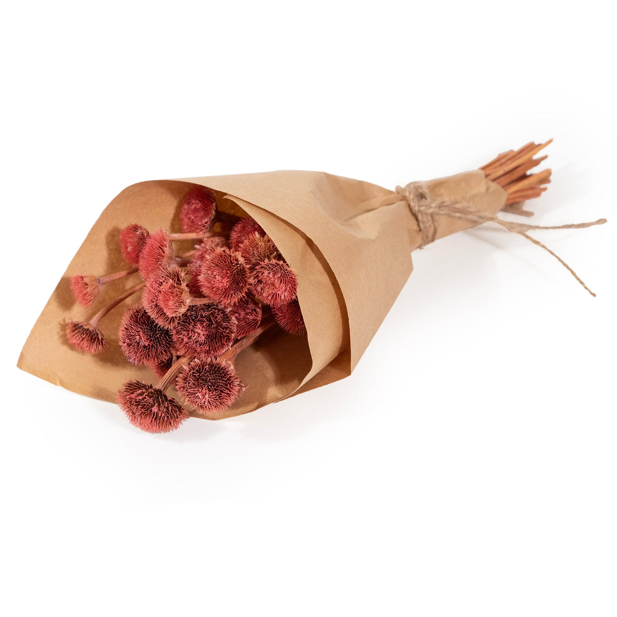 MINI Bouquet Margherite Selvatiche Rosa