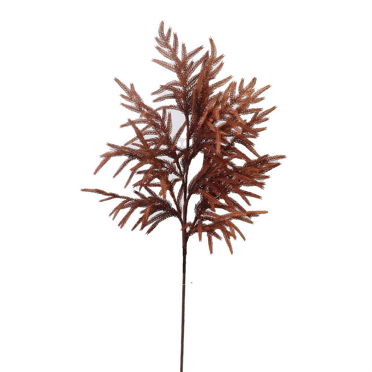 36" Real Touch Rust Norfolk Pine Stem – Faux Greenery