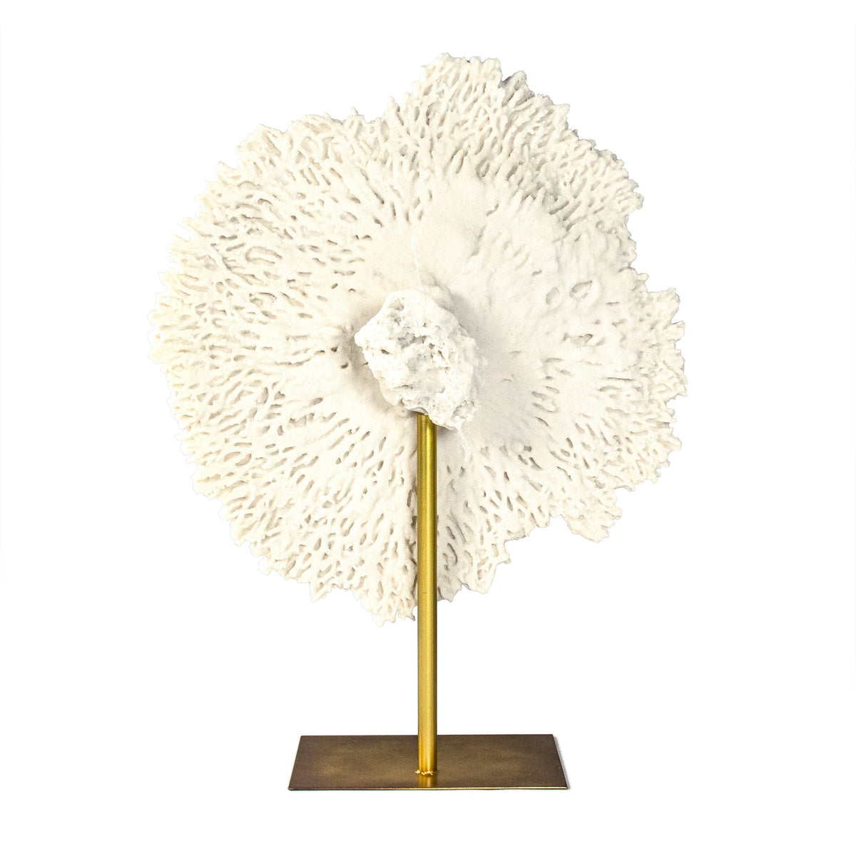 White Coral Sculpture Gold Base 30 in
