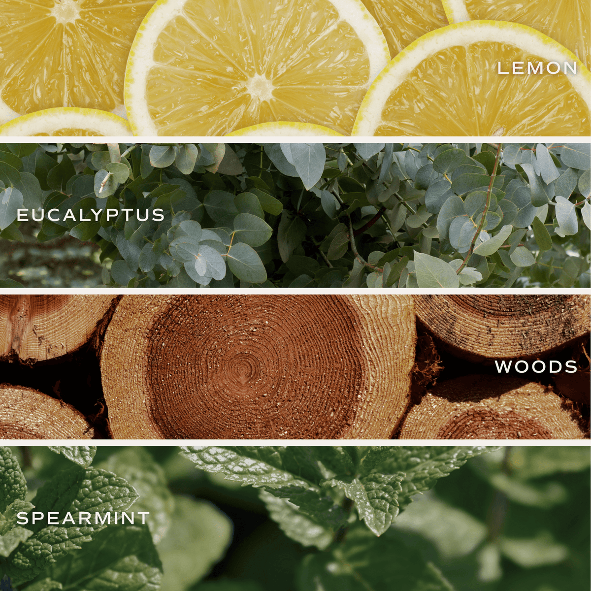 Candela in soia antistress - Barattolo trasparente - 9 once