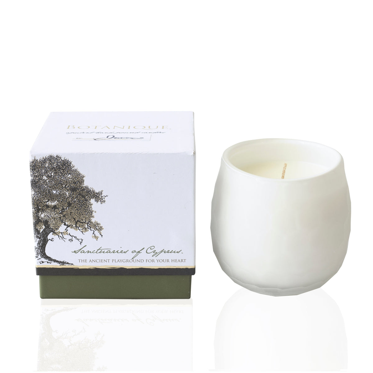 Candela Botanique White 16 oz