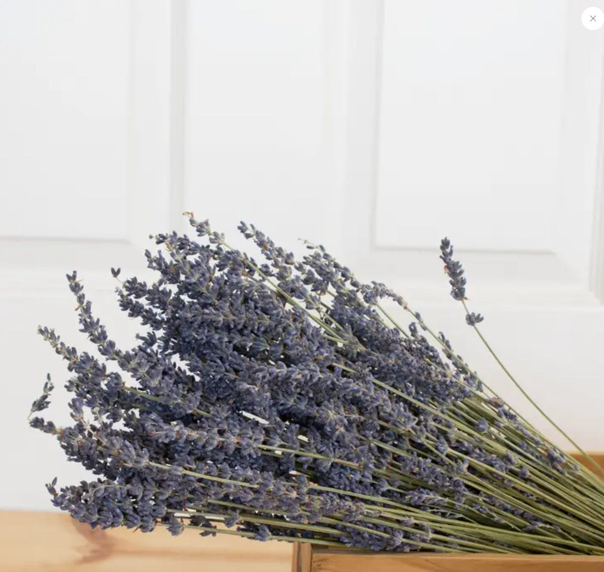 Bouquet de lavande française