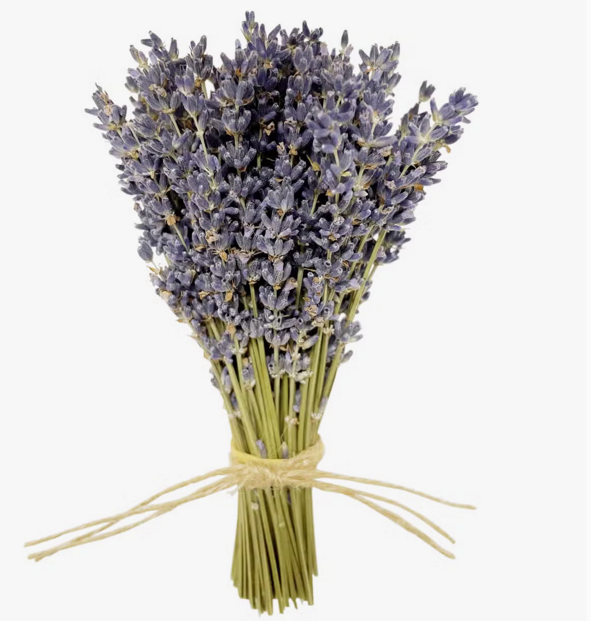 MINI bouquet de lavande française