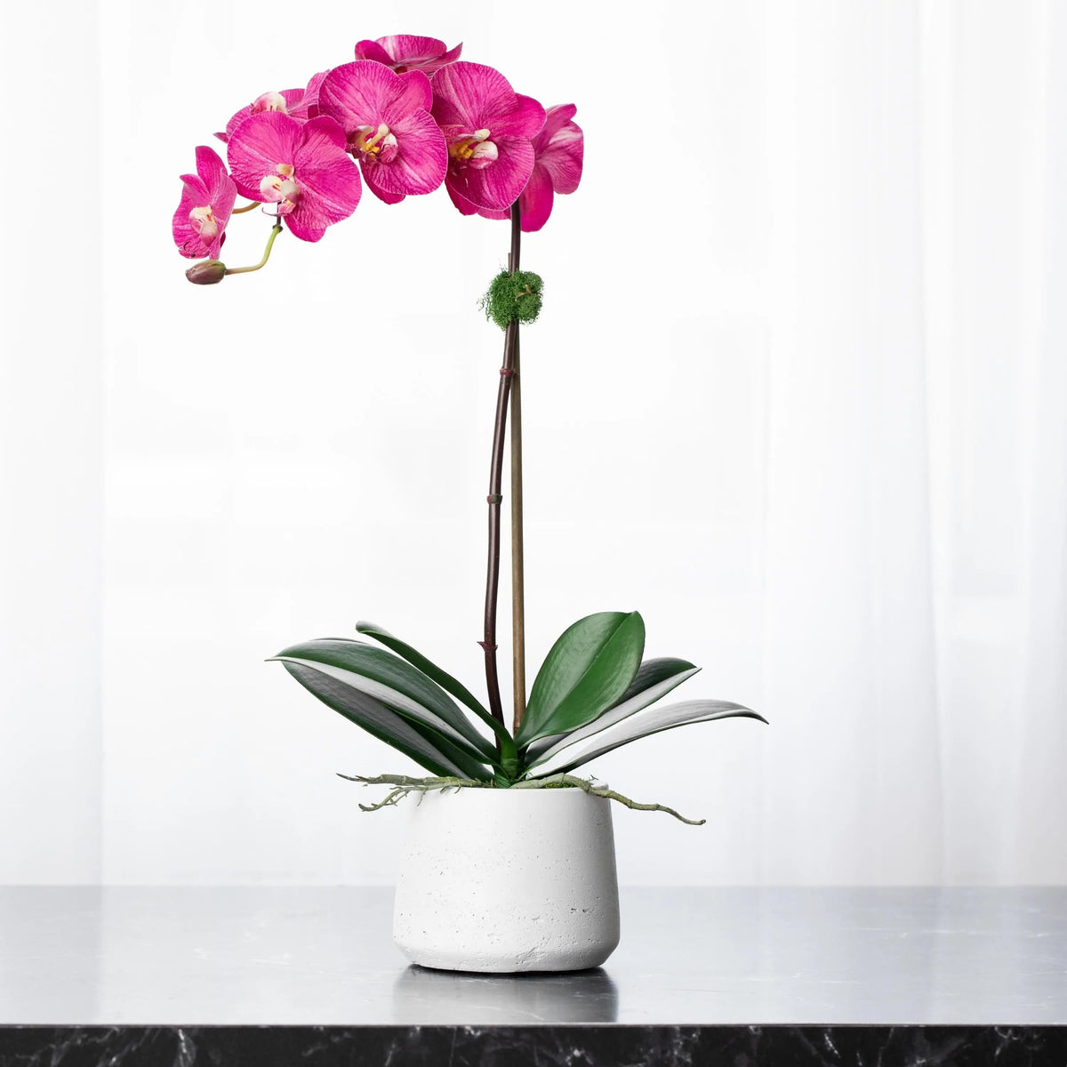 Pianta di orchidea in seta - orchidea phalaenopsis rosa in vaso bianco - 53 cm