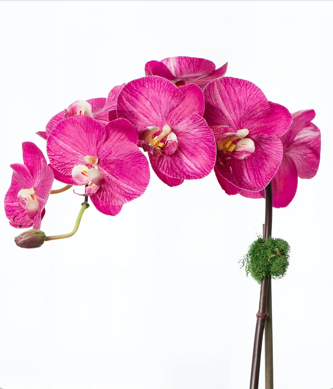 Pianta di orchidea in seta - orchidea phalaenopsis rosa in vaso bianco - 53 cm