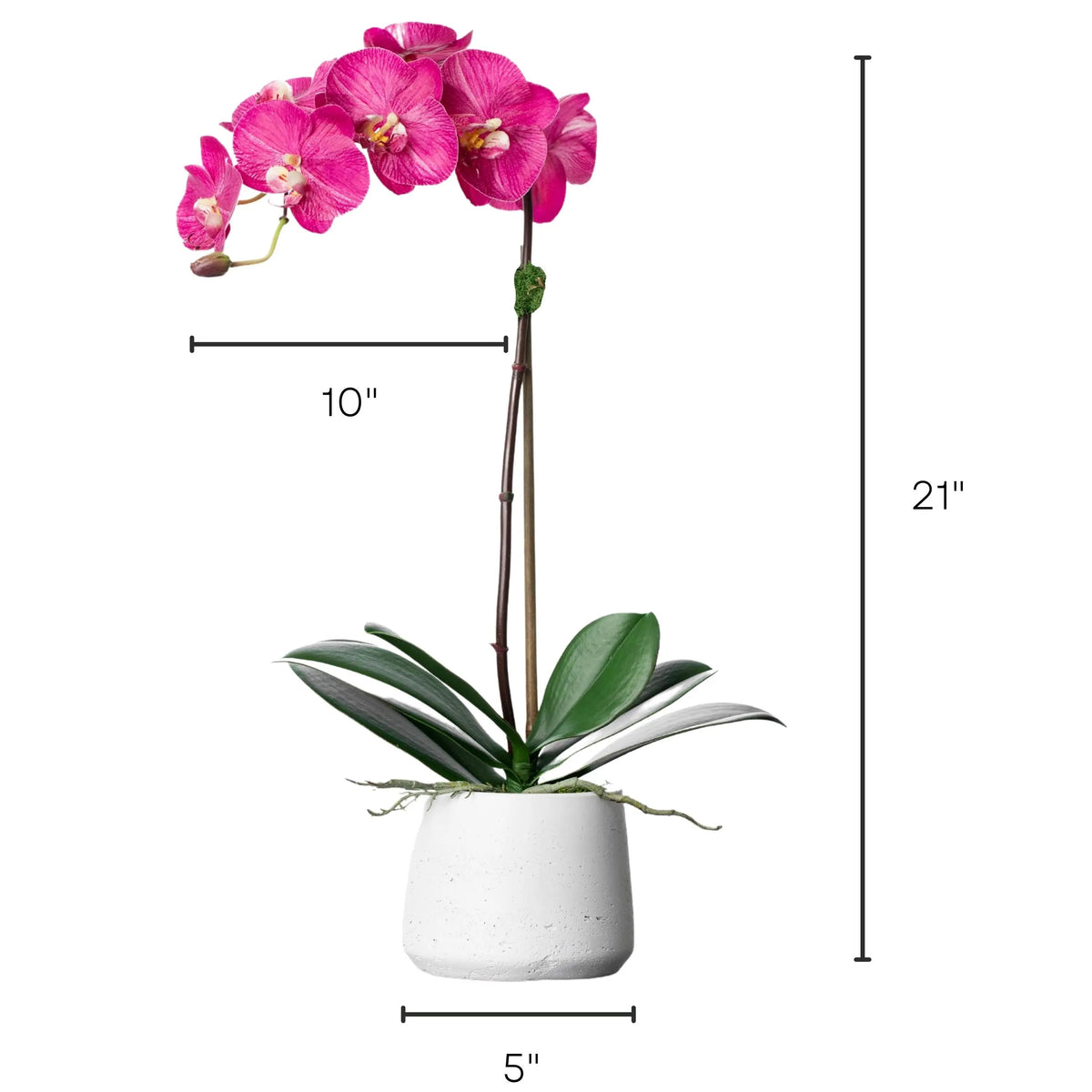 Pianta di orchidea in seta - orchidea phalaenopsis rosa in vaso bianco - 53 cm