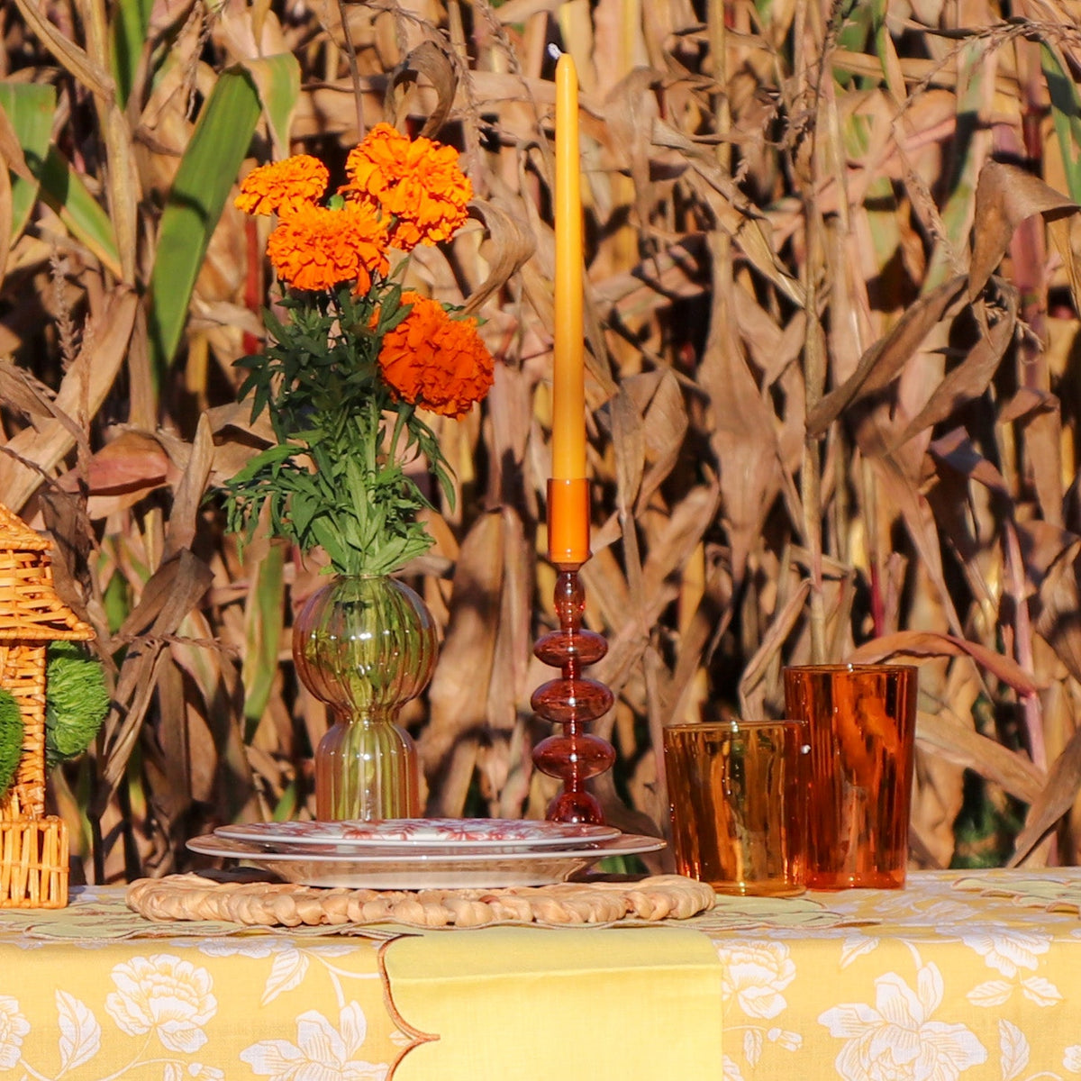 Mustard Spice Extra Tall Taper Candles – Case of 192