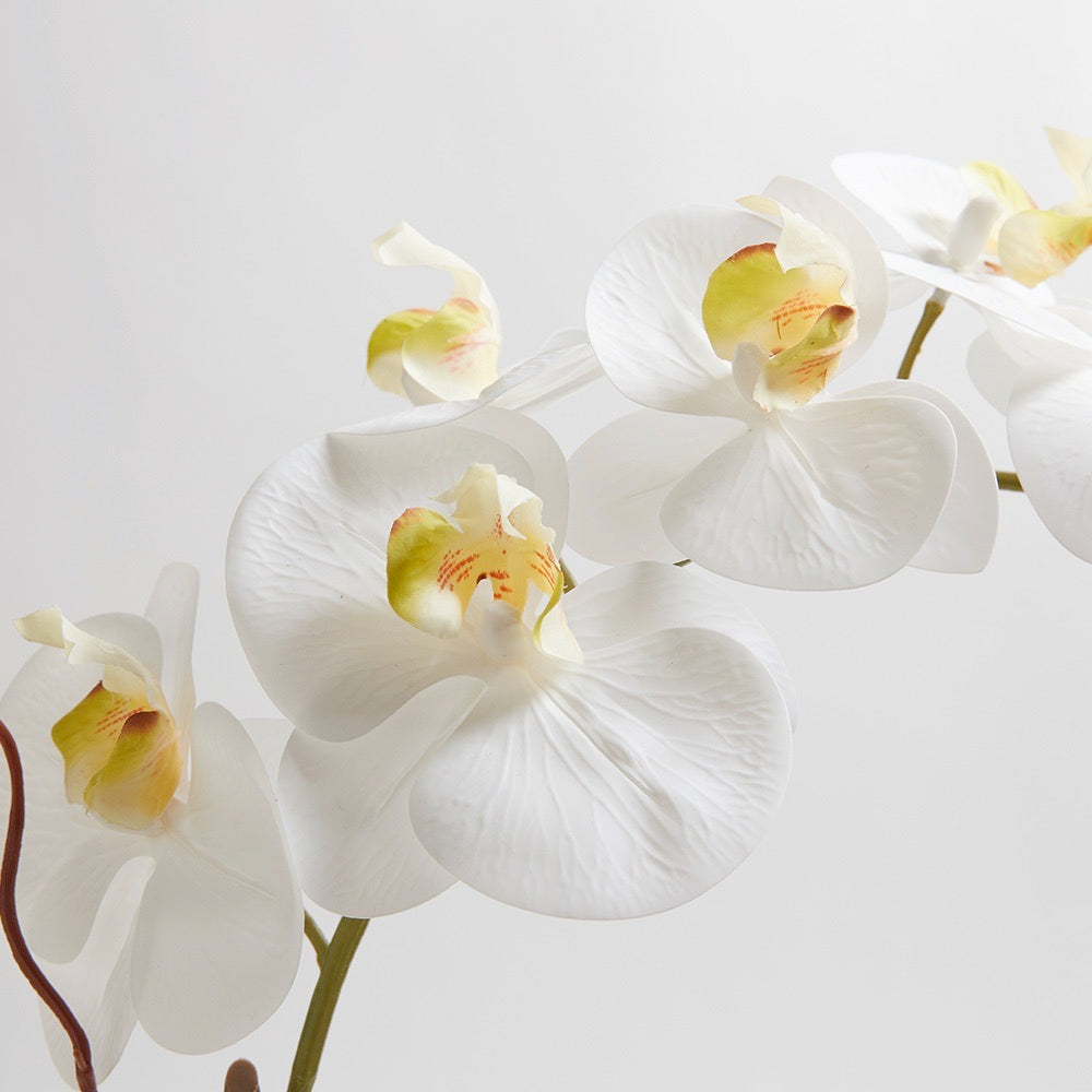 Orchidea bianca artificiale a doppio stelo