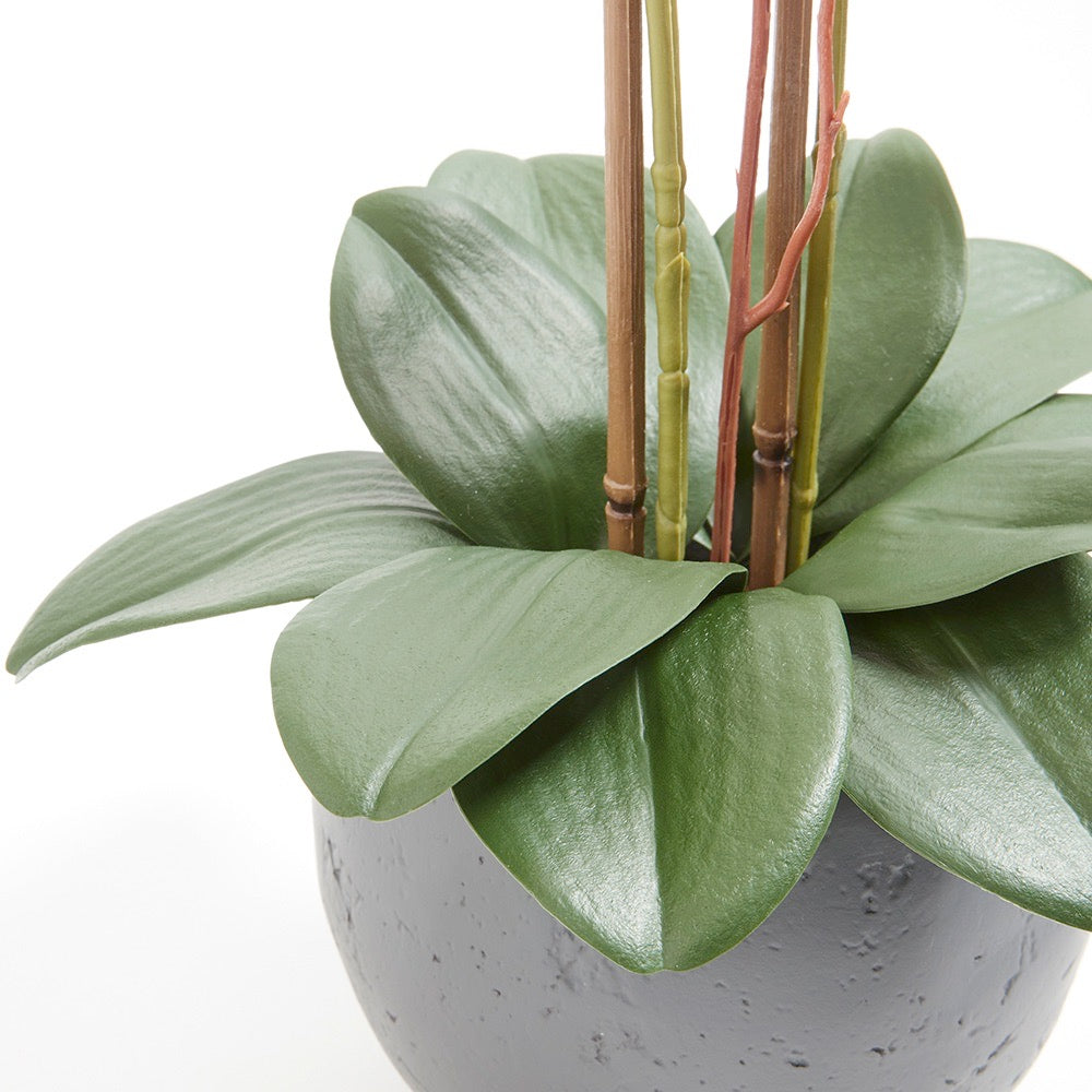 Orchidea bianca artificiale a doppio stelo