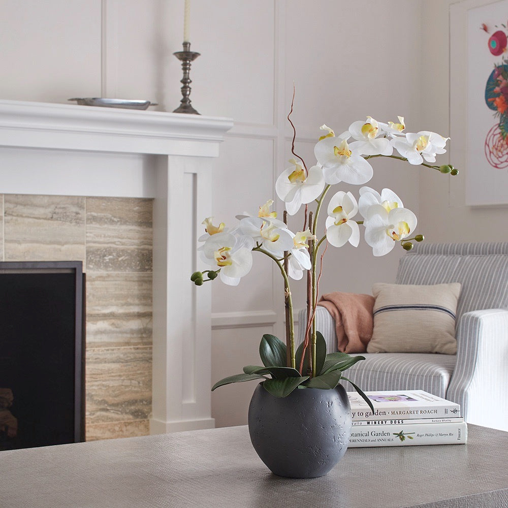 Orchidea bianca artificiale a doppio stelo