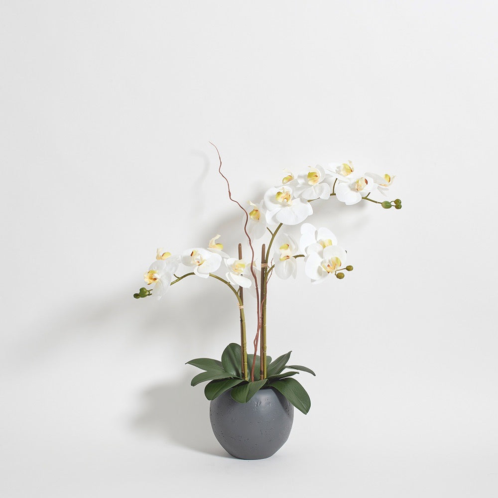 Orchidea bianca artificiale a doppio stelo