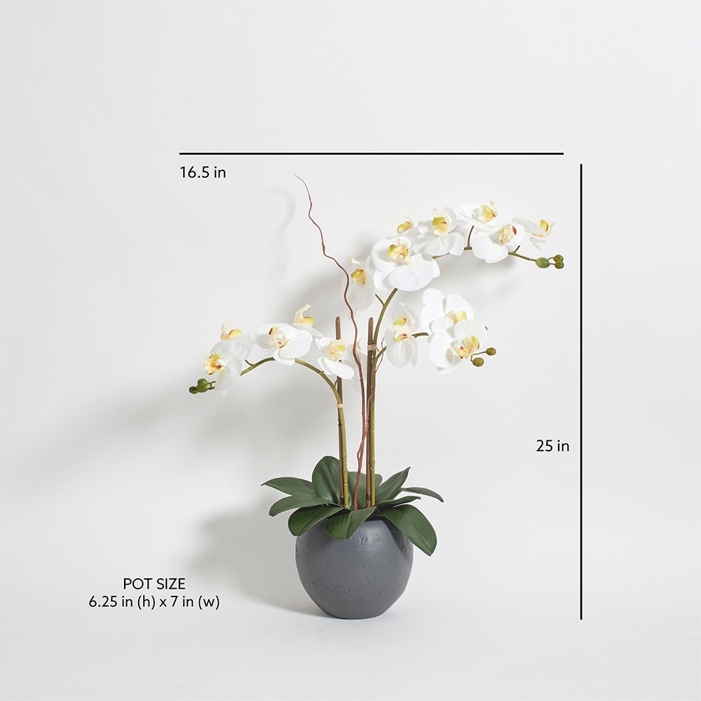 Orchidea bianca artificiale a doppio stelo