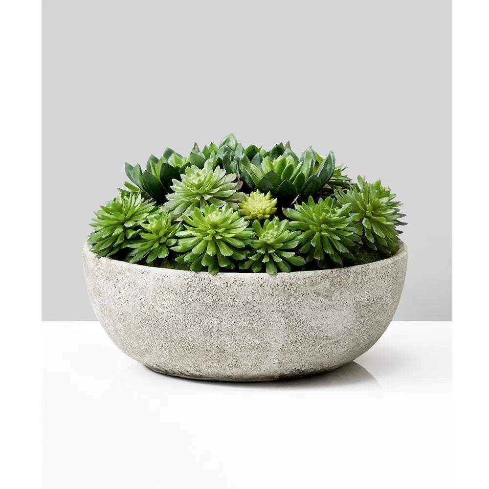 Succulent Mix In Bowl
