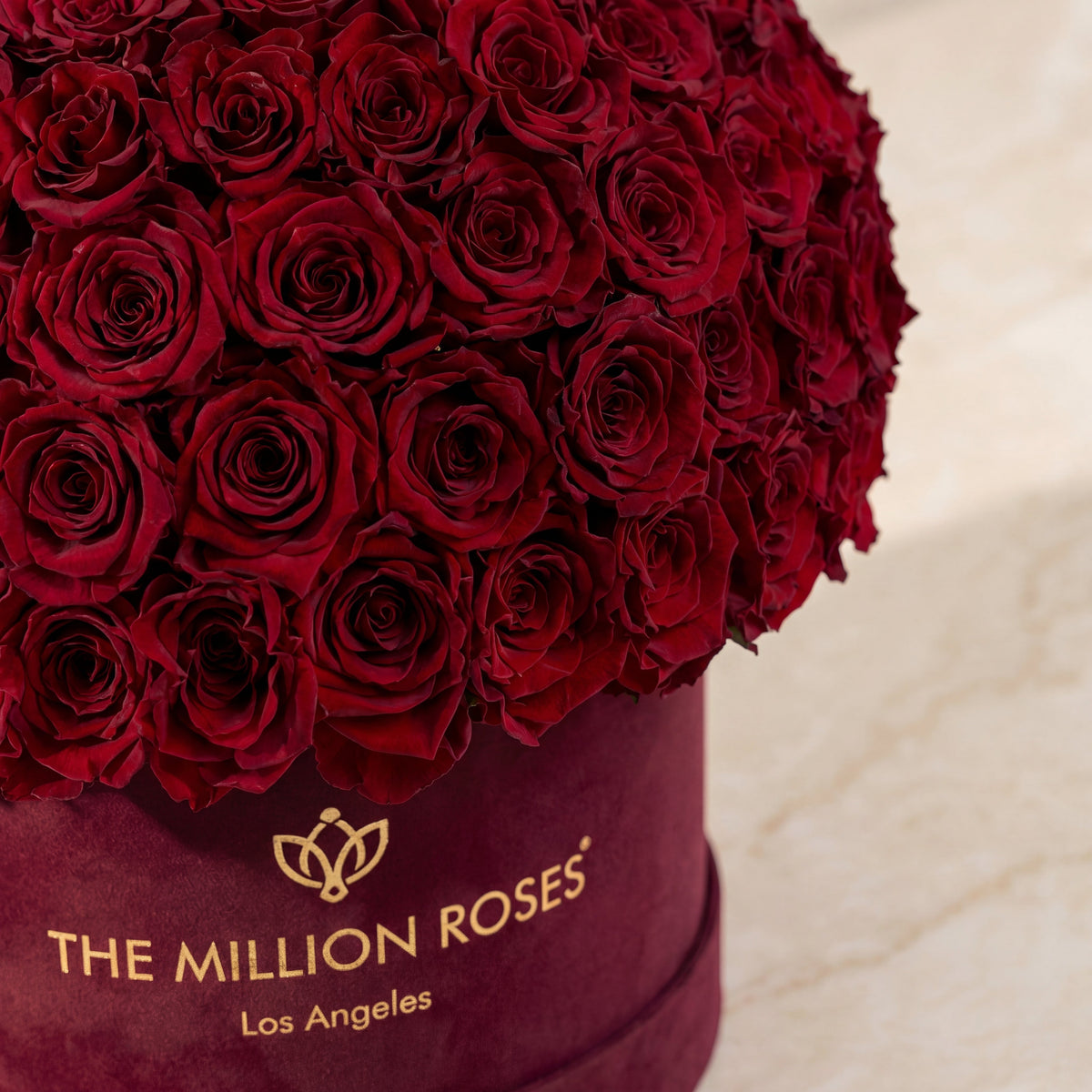 Boîte Superdome Supreme en daim bordeaux | Roses bourgogne