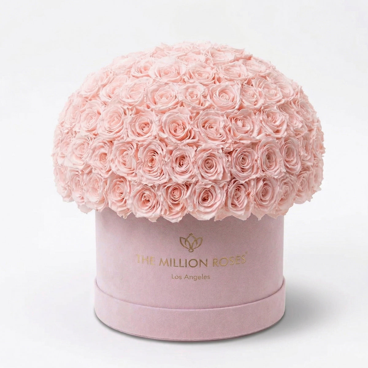 Boîte Supreme Superdome en daim rose clair | Roses rose clair