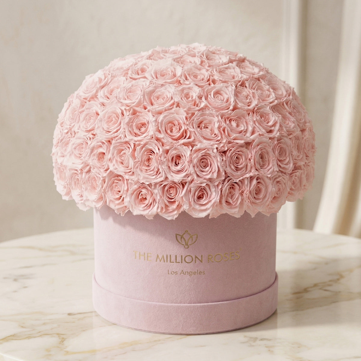 Boîte Supreme Superdome en daim rose clair | Roses rose clair