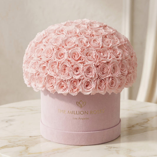 Supreme Light Pink Suede Superdome Box | Light Pink Roses