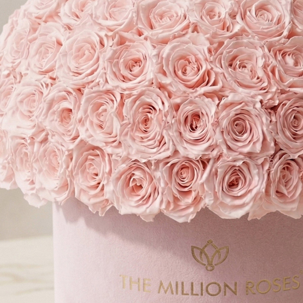 Boîte Supreme Superdome en daim rose clair | Roses rose clair