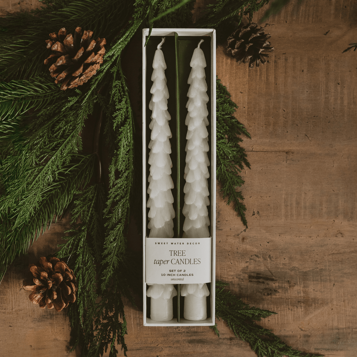 Bougies effilées sapin crème - Lot de 2