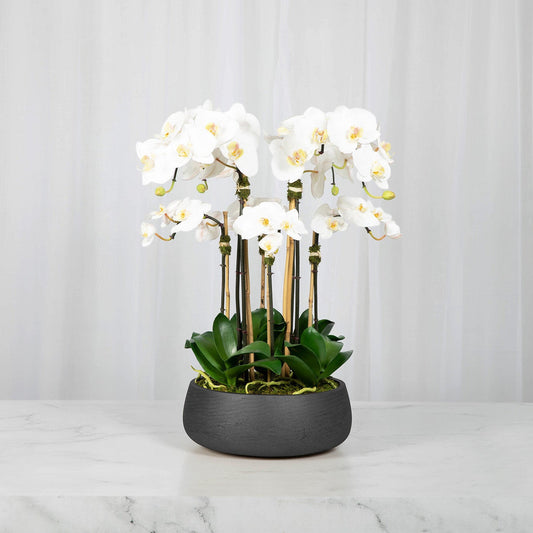 Faux White Orchid Arrangement in Matte Black Planter