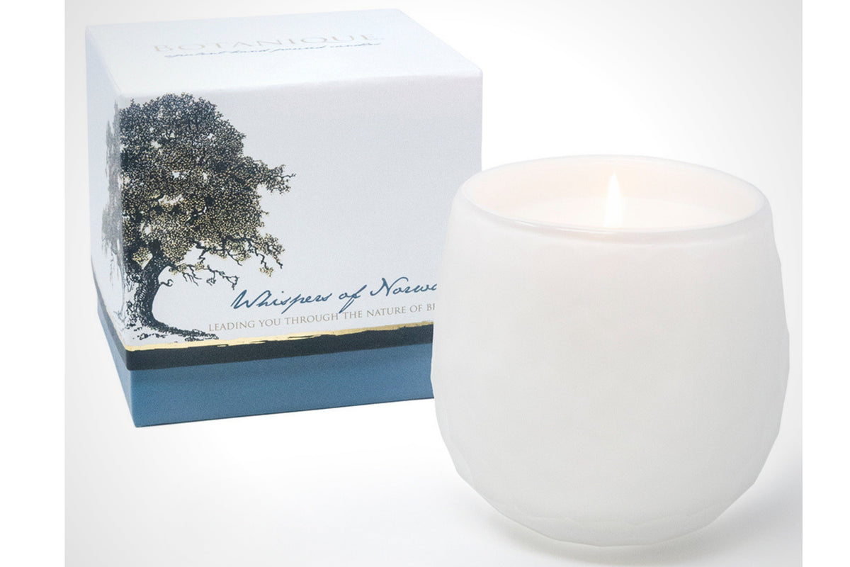 Candela Botanique White 16 oz
