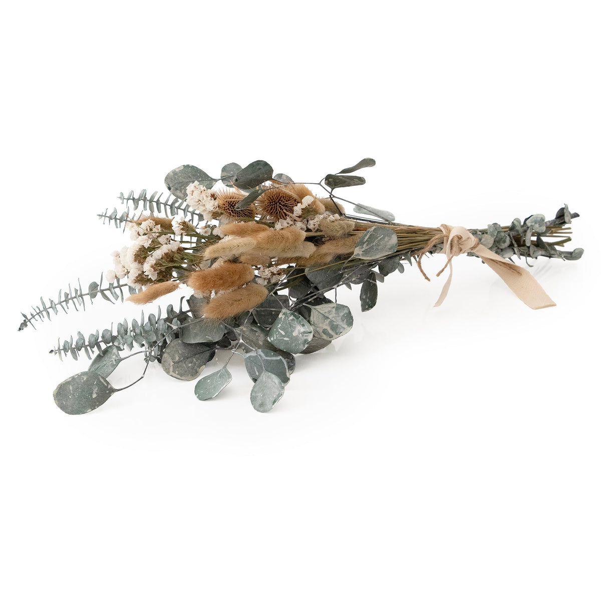 Bouquet di eucalipto bianco decapato e cardo