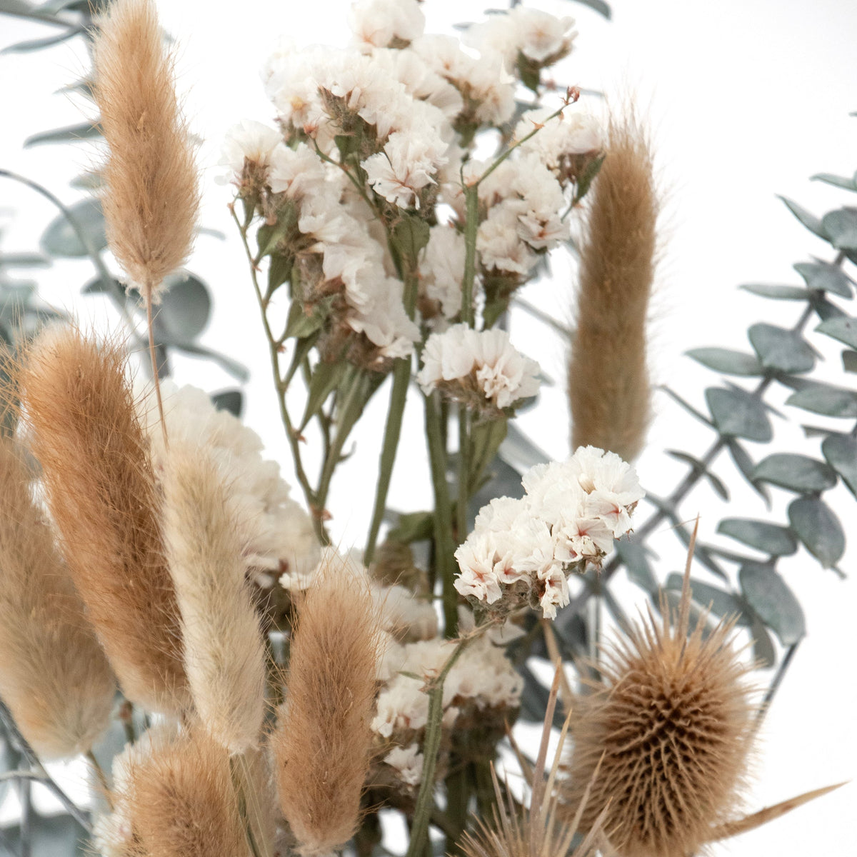 Bouquet di eucalipto bianco decapato e cardo