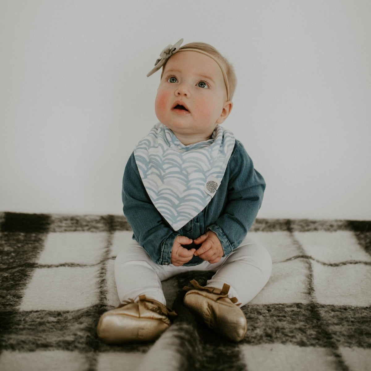 Set di bavaglini a bandana Arctic (confezione da 8)