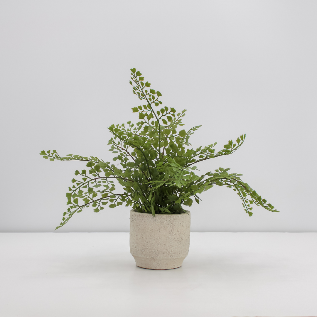 Set di pianta serpente e felce artificiali da 16"