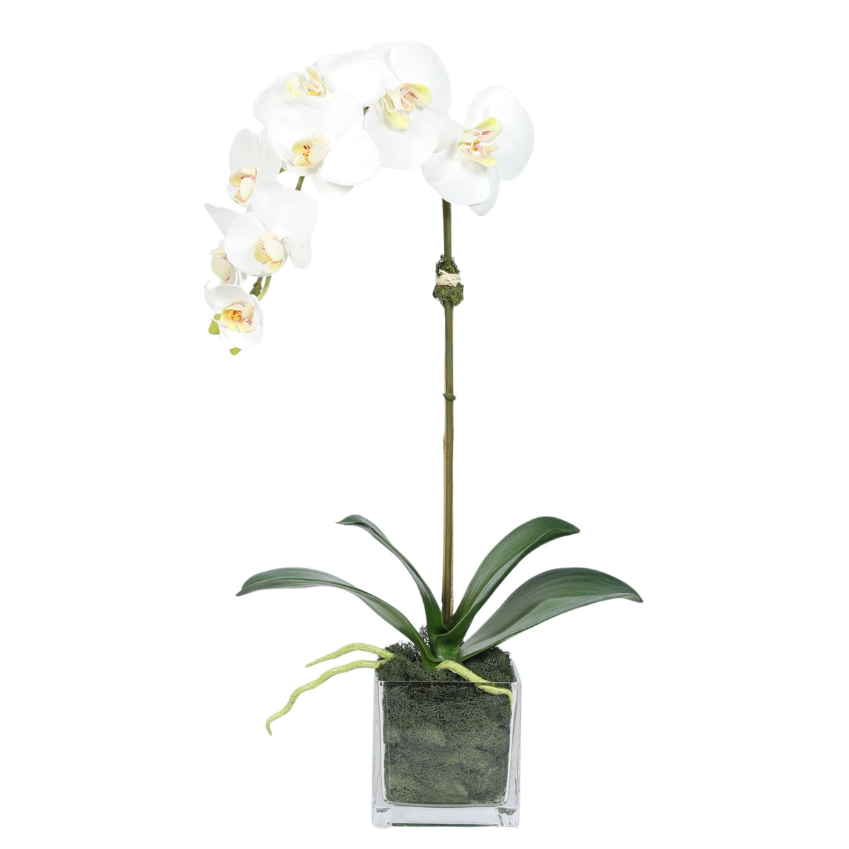 Orchidée artificielle dans vase carré - 50 cm