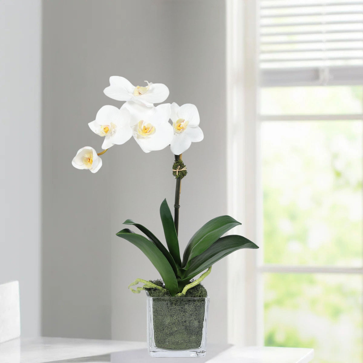 Mini composition d'orchidées dans un vase carré en verre