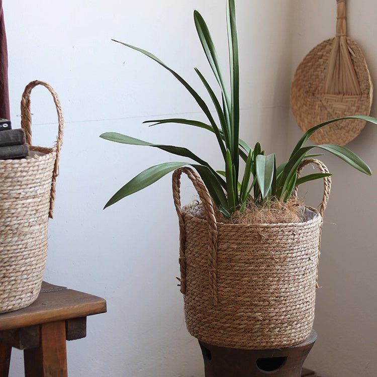 Panier en jonc de mer tissé à la main pour plantes