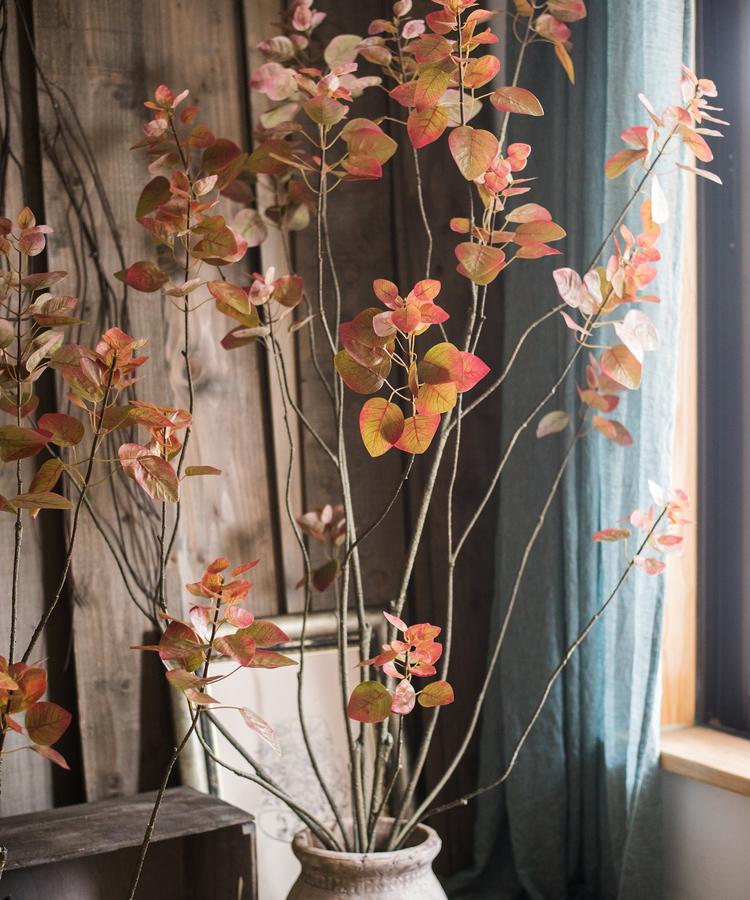 Albero di Bauhinia artificiale in vaso