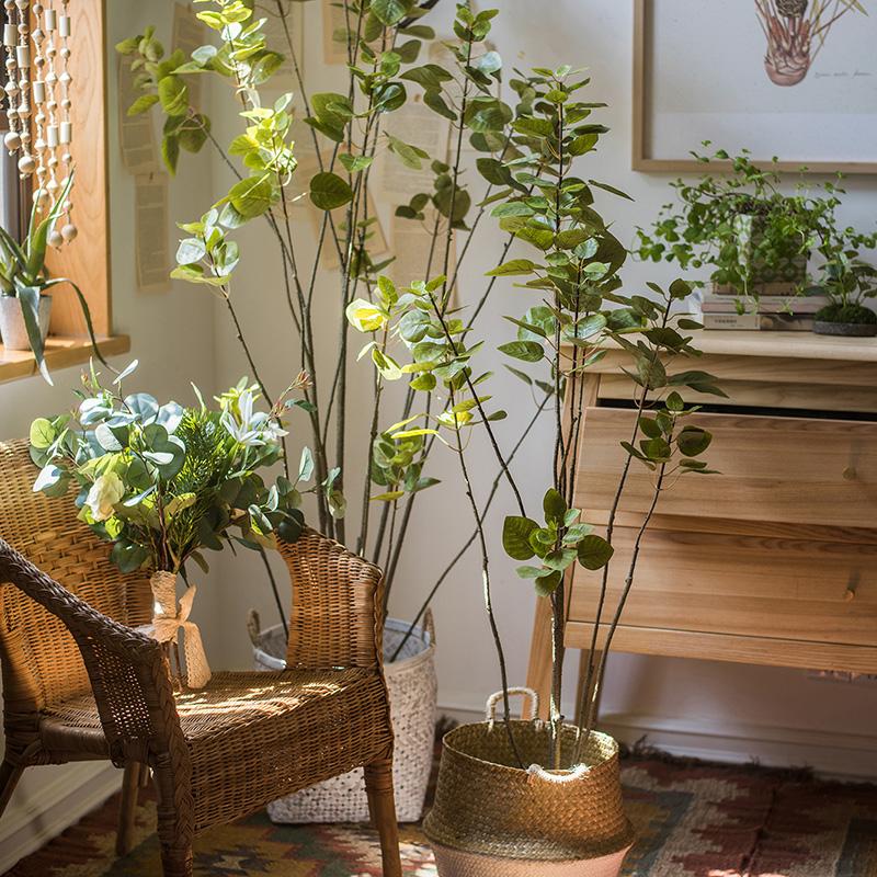 Albero di Bauhinia artificiale in vaso