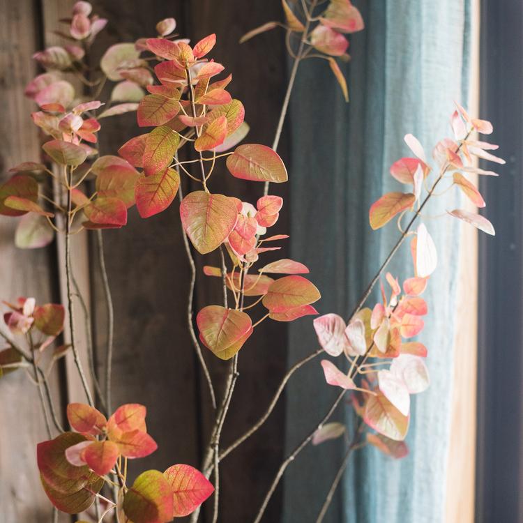 Albero di Bauhinia artificiale in vaso