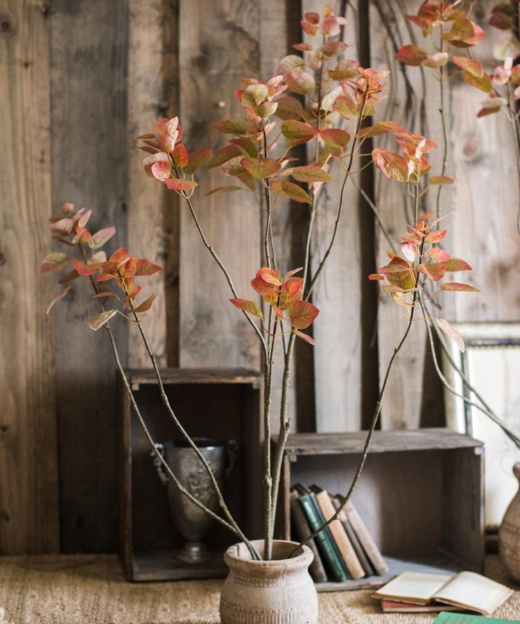 Albero di Bauhinia artificiale in vaso
