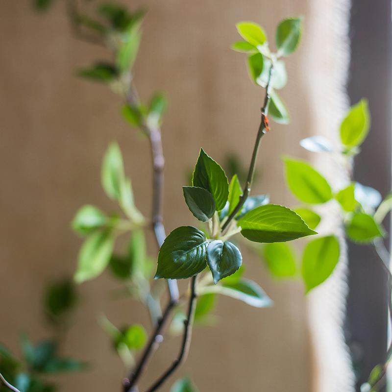 Albero artificiale con foglie verdi in vaso