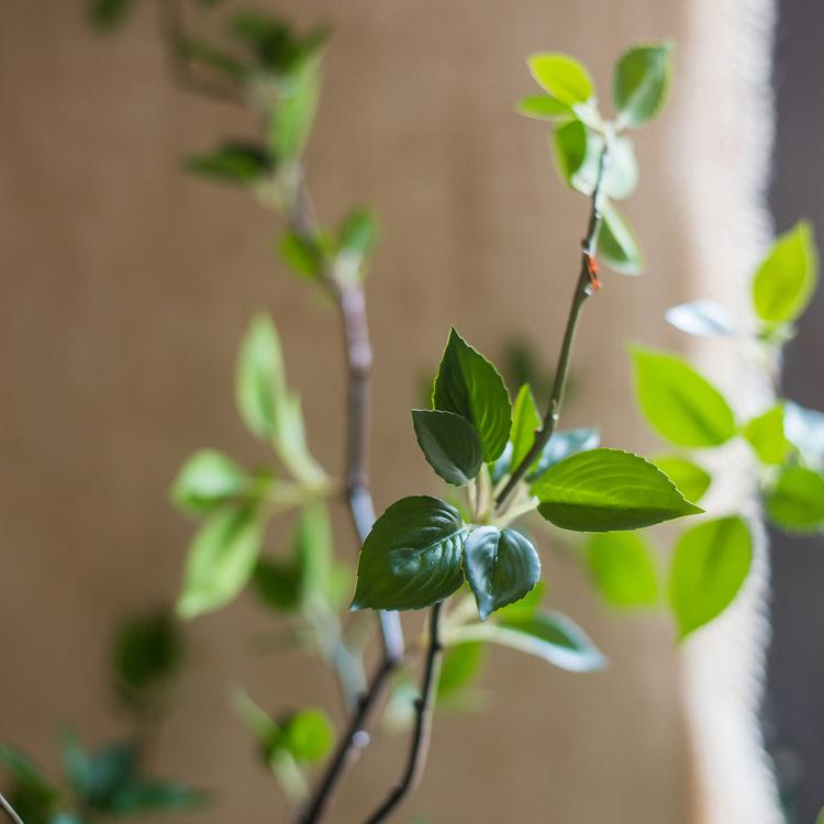 Albero artificiale con foglie verdi in vaso