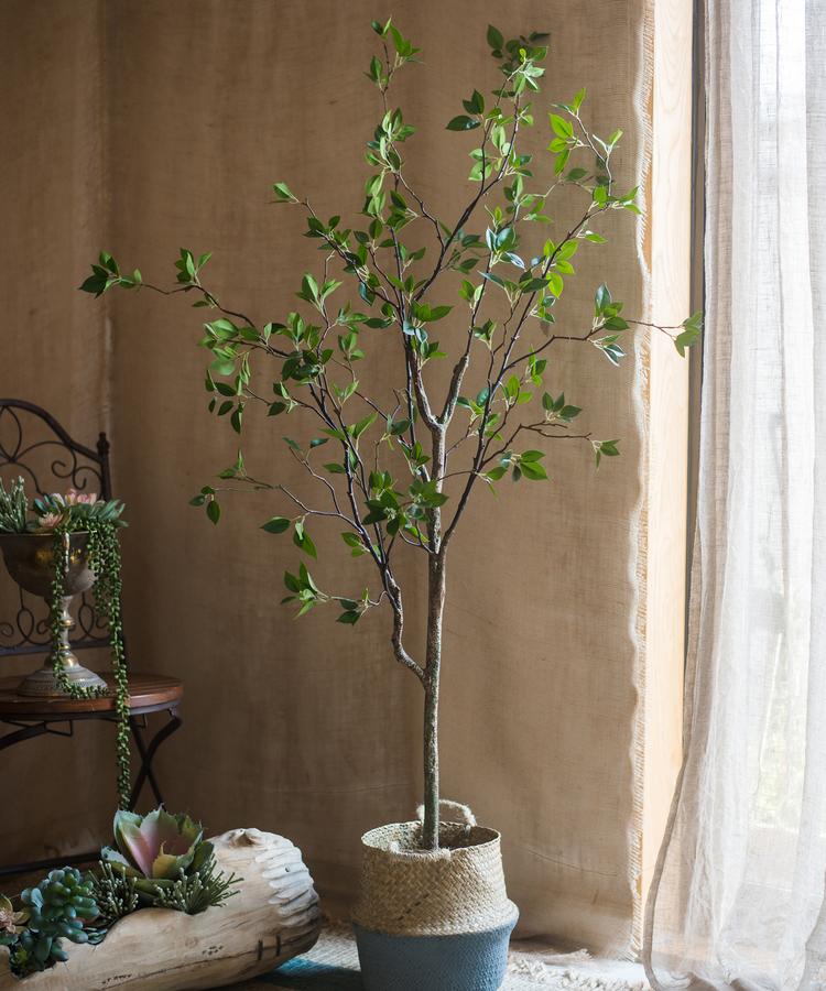 Albero artificiale con foglie verdi in vaso