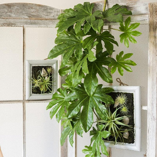 Ramo di pianta artificiale di Fatsia, lungo 81 cm