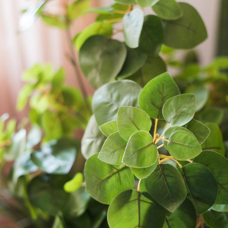 Plante artificielle, feuille de bauhinia factice, 86 cm de hauteur