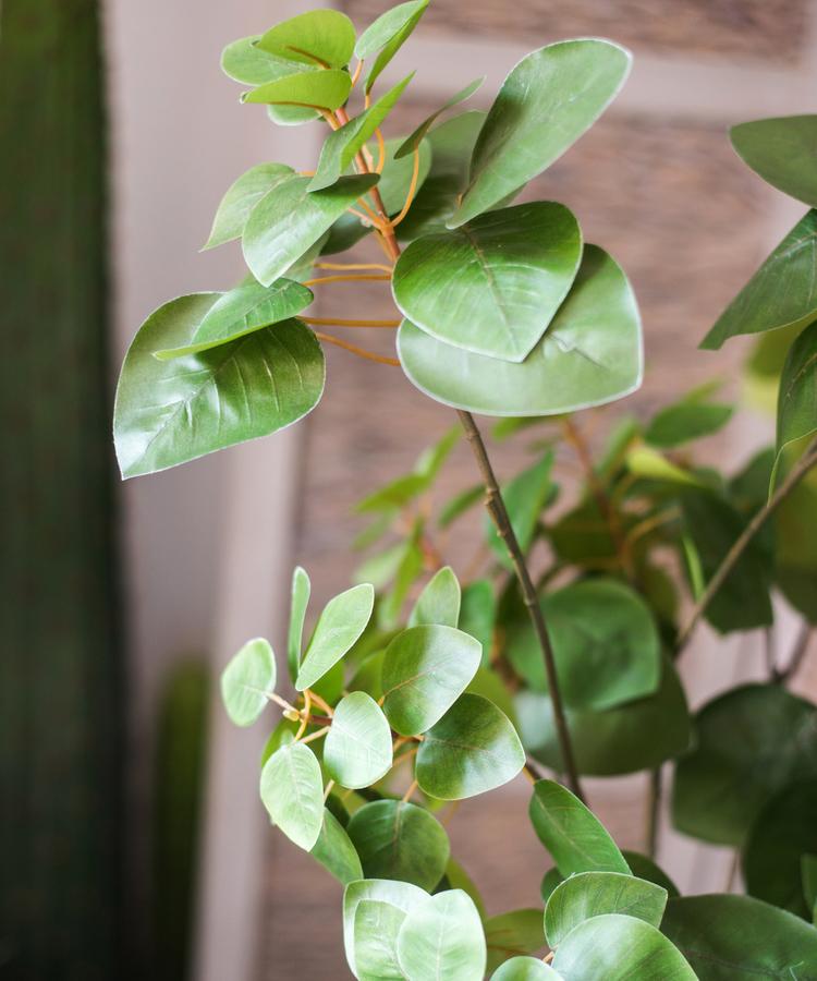 Plante artificielle, feuille de bauhinia factice, 86 cm de hauteur