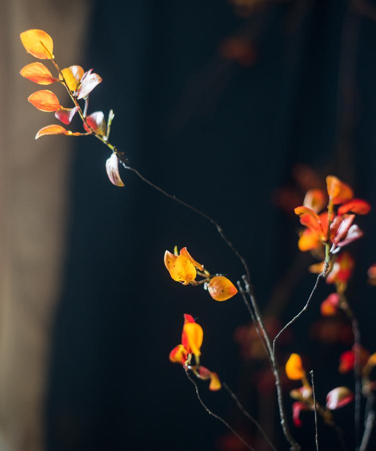 Tige de vigne artificielle à feuilles rouges