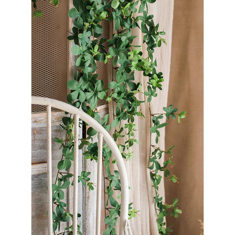 Feuille de schefflera pour vigne artificielle
