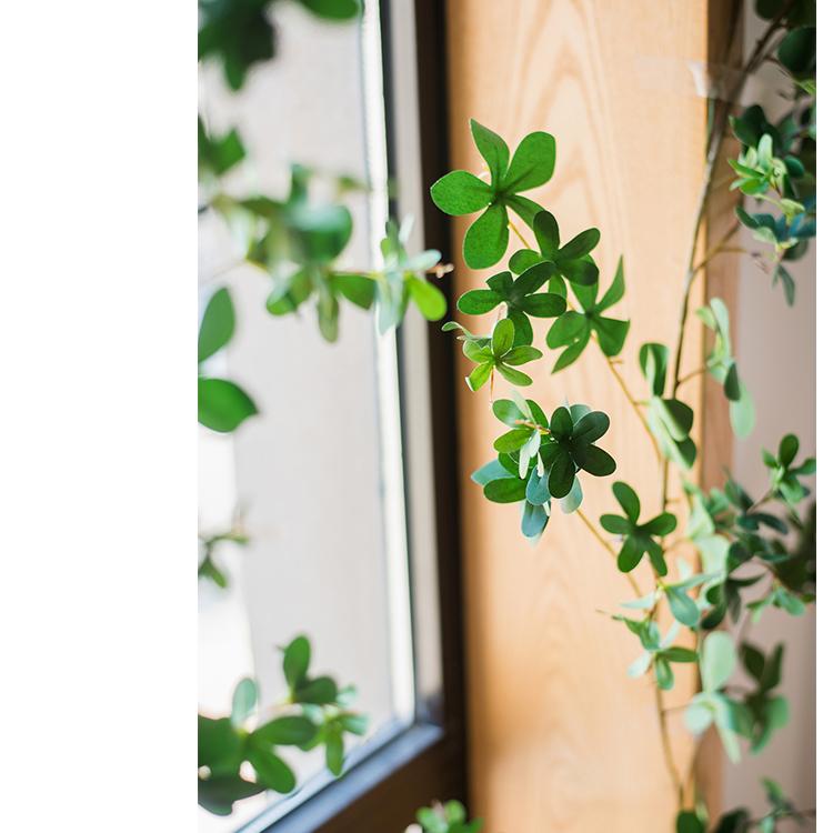Feuille de schefflera pour vigne artificielle