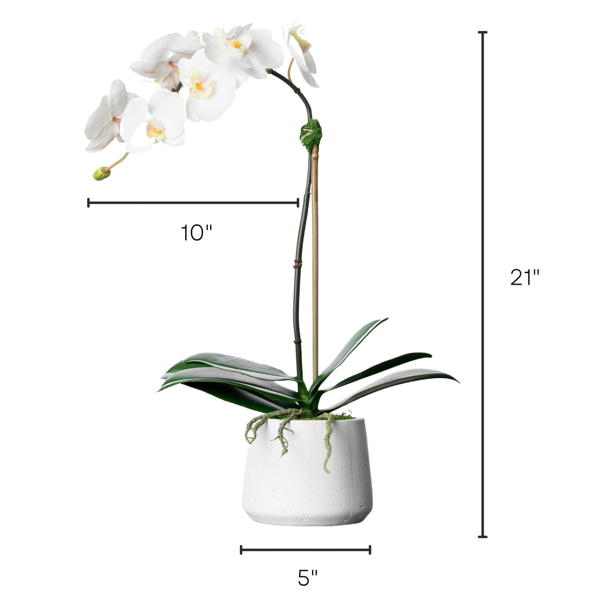Pianta di orchidea artificiale - orchidea bianca in vaso bianco - 53 cm