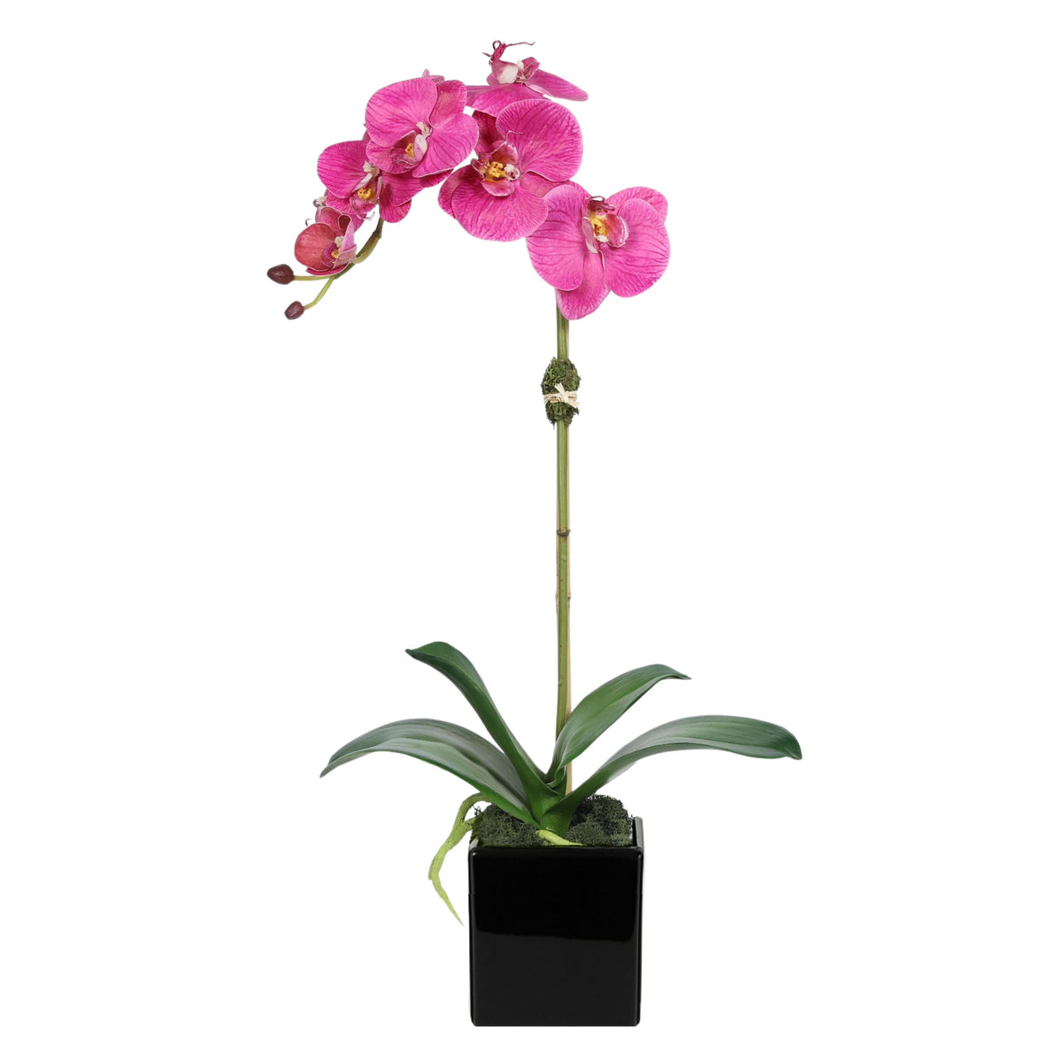 Orchidée artificielle dans vase carré - 50 cm
