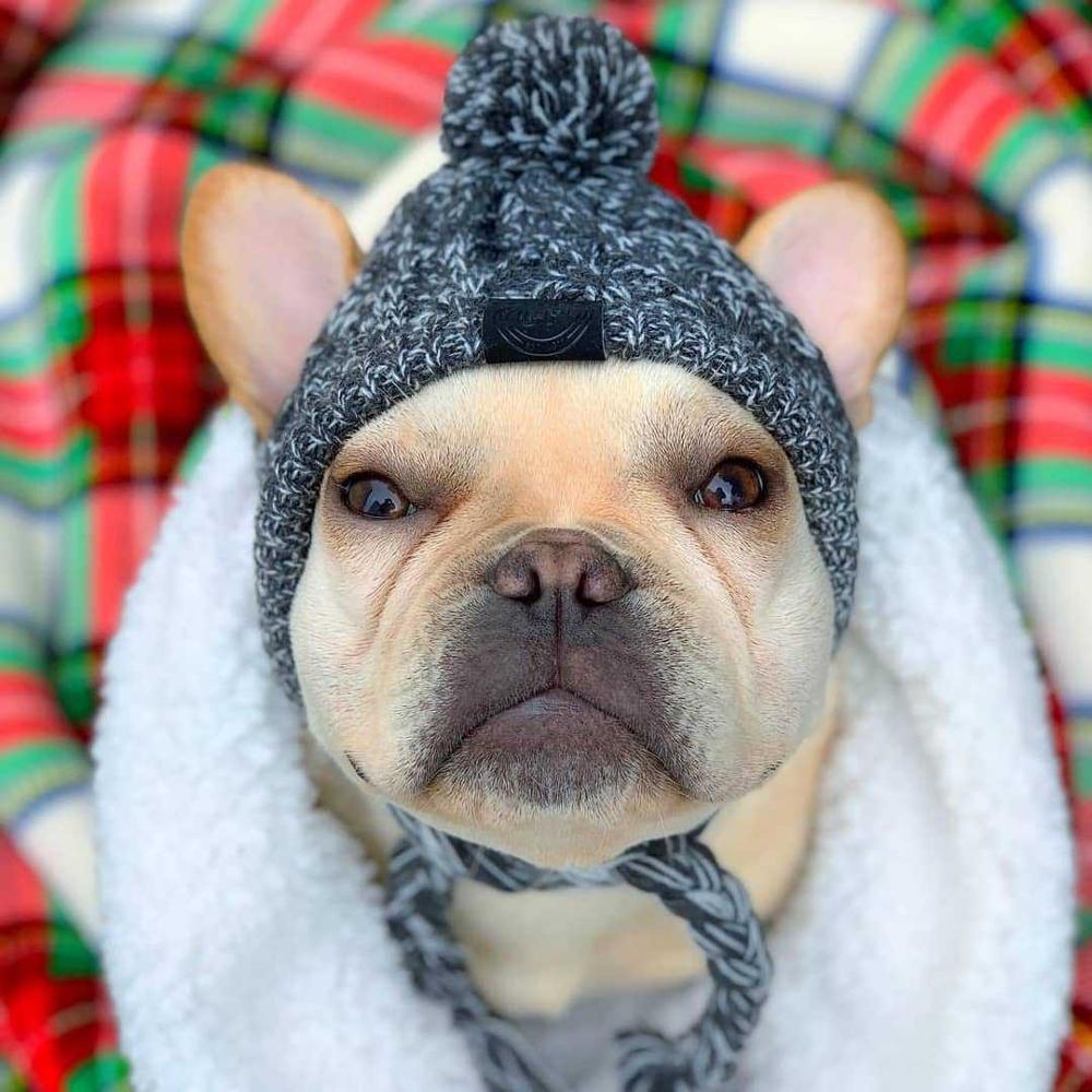 Bonnet en tricot chaud pour animal de compagnie automne-hiver avec pompon
