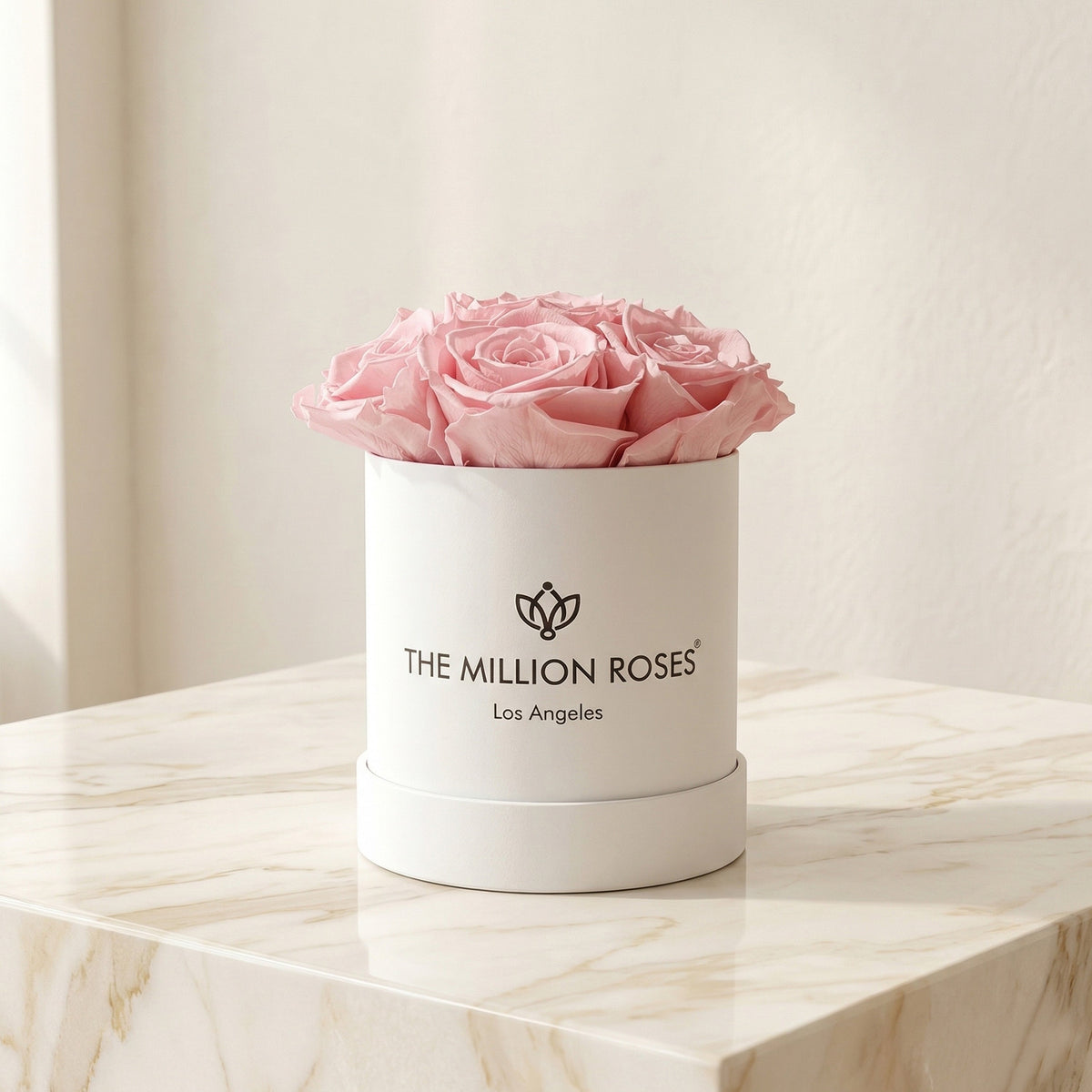 Essence White Box | Rose Rosa Chiaro