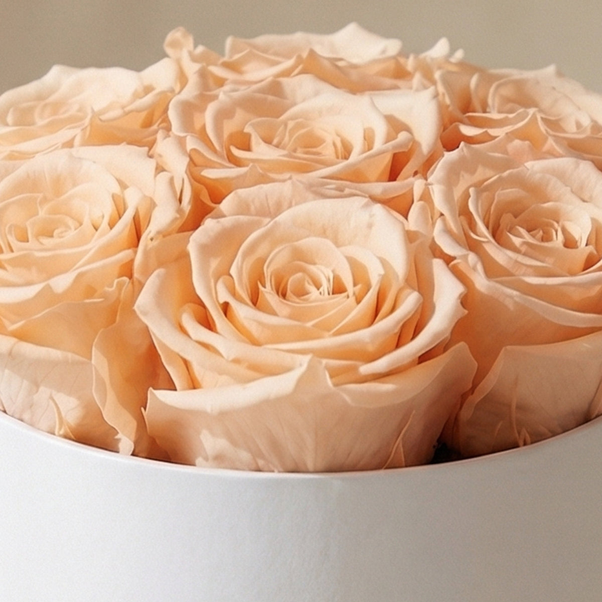 Essence White Box | Rose Pesca